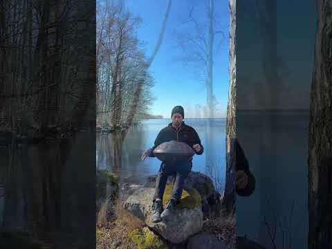 Handpan in the nature❤️