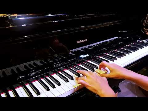 Elton John "Can you feel" - cover "Secret Crush" duo (handpan & piano)