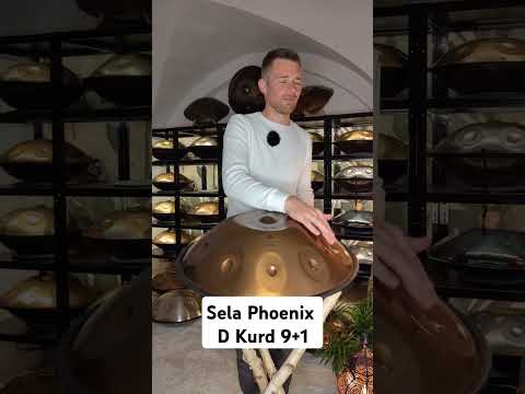 Sela Phoenix D Kurd 9+1 #Handpan #lernen #kaufen