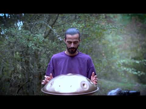 Nervous System Reset | 1 hour handpan meditation | Amin Shahbazi