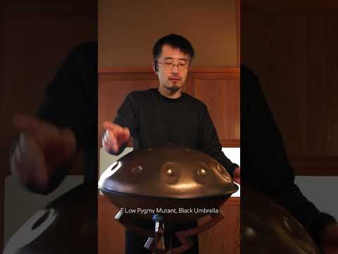 F Low Pygmy Mutant, Black Umbrella #handpan #mutant #music
