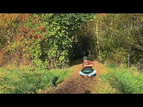 Handpan in the Forrest