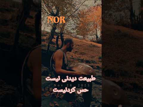 صدای هنگ درام فضایی توی جنگل یه چیز دیگست 🍁🧘#هنگدرام #hangdrum #جنگل #طبیعت