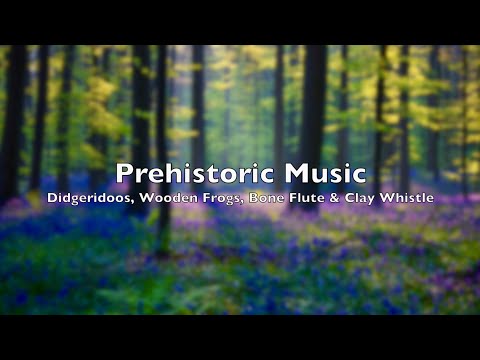 Prehistoric Music π¦π¦΄πͺπ³πΈπΆ #ancientmusic #didgeridoo #boneflute #woodenfrog #birdwhistle #handpandan