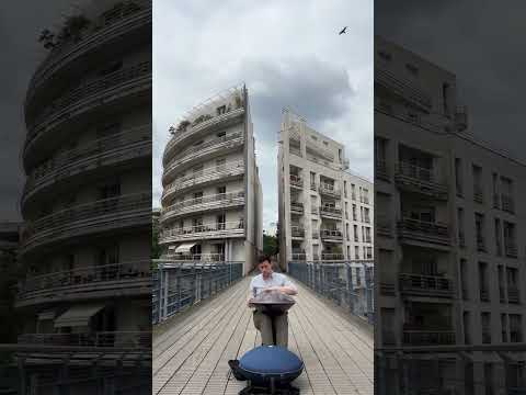 Handpan F# Pygmy 18 - Coulée verte René-Dumont - Paris - France