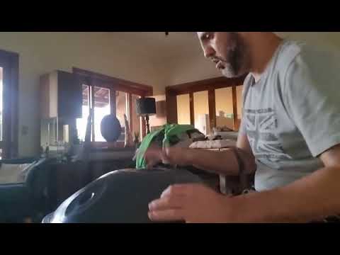 Handpan 9 Notas Aço Carbono 09