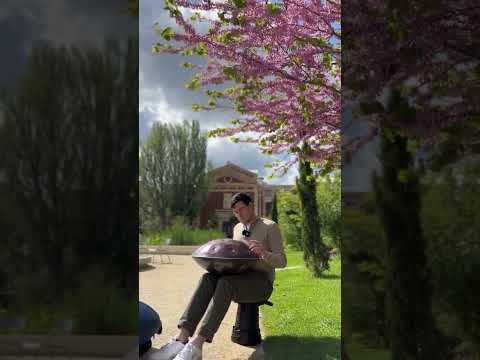 Handpan F# Pygmy 18 - Square Alban Satragne - Paris - France
