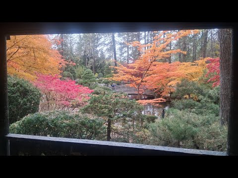 Japanese Garden Handpan Improv | 28 Oct 2025