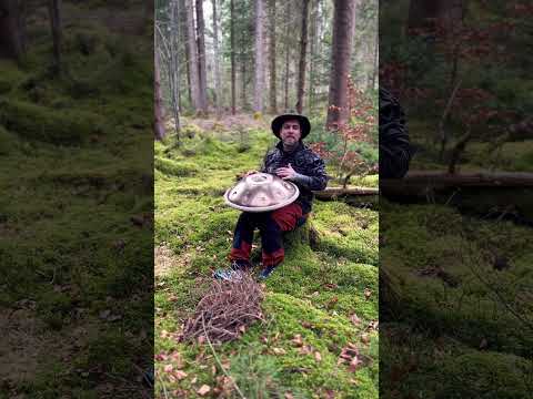G2 La Sirena improvisation in the Woods @HoiaPantam #handpan #handpanmusic #naturesounds
