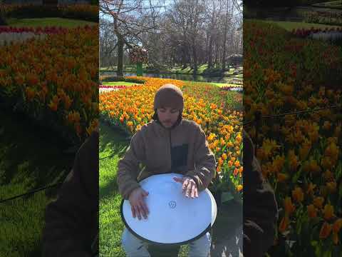 #handpan at #keukenhof 🌷