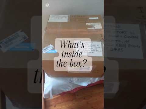 Unboxing and first touches of Eb La Sirena 17