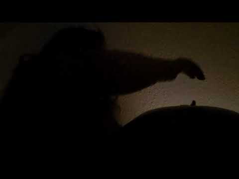 Sonntagsmeditation mit Handpan - Wochenabschluss - Reflexion - Entspannung  - D Kurd - 440hz