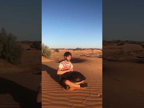 Morrocan Sun | #handpan Music | Alwin Steinle | B-Barva #handpanplayer #intuition