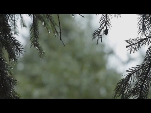 Serenity | 1 Hour Handpan Music | Acero F2 Low Pygmy 11