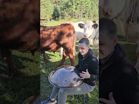Kuh-Konzert in Farchant Teil 2
