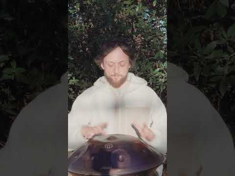 Forest Handpan #handpan #handpanmusic #meditationmusic #relaxing #relaxingvideo
