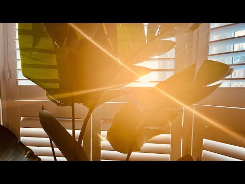 Handpan: Soulful meditation in F# Low Pygmy for yoga, relaxation and mindfulness