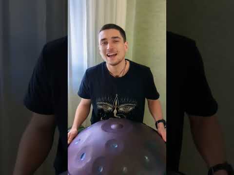 Purple or Black pan?
