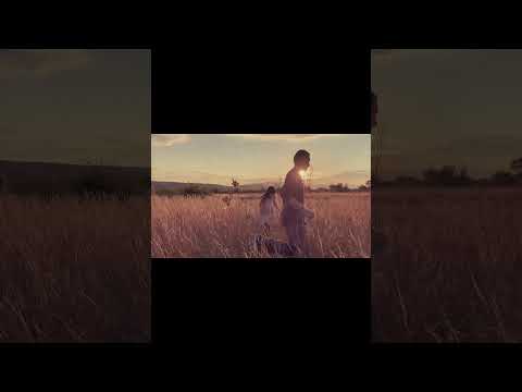Ivan Judas - Lost Magic | Meditation music | VIBE Handpan