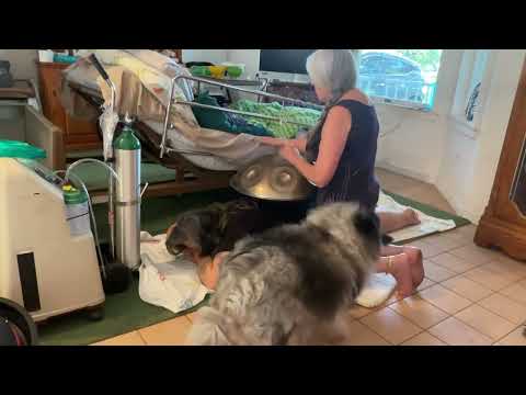 🛸🎶 Hubby (finally) home from hospital and my buddy “getting played”  for the 1st time ever!!  🎶🛸
