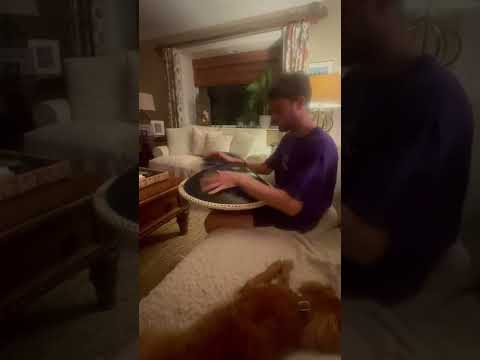 Handpan E - La Sirena freestyle jam, first time playing out the box
