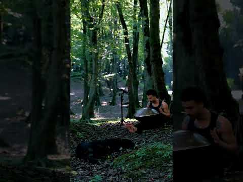 Playing on D aegean in deep forest #handpan #torsepan #hangdrum #healingmusic  #meditativemusic