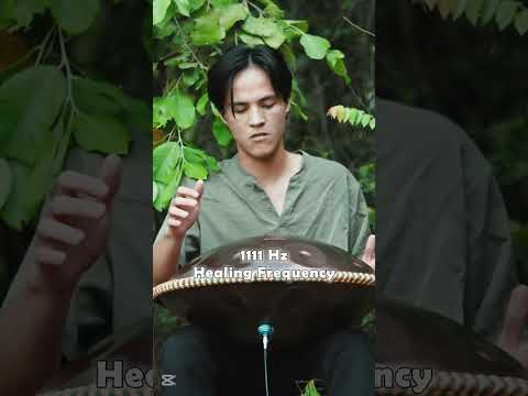 Chilling at wilderness | handpan music