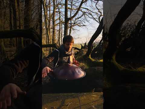 The end of winter | Handpan | Alwin Steinle | Soulshine