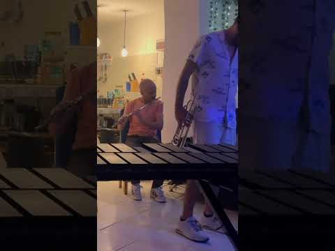 Terapia de Sonido para Reducir la Ansiedad 🌿