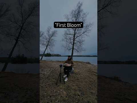 First bloom-Handpan F#low pygmy