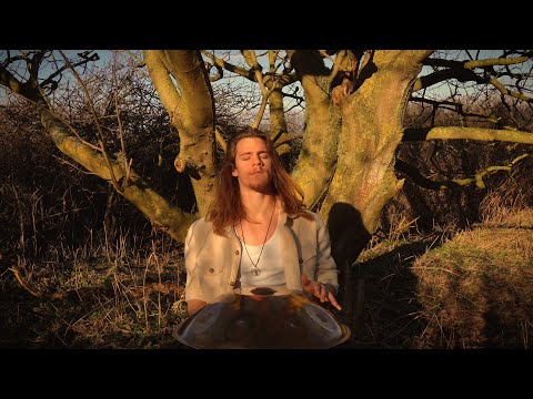 True Nature | 30 Minute Handpan Calming Music | Tobias Faber