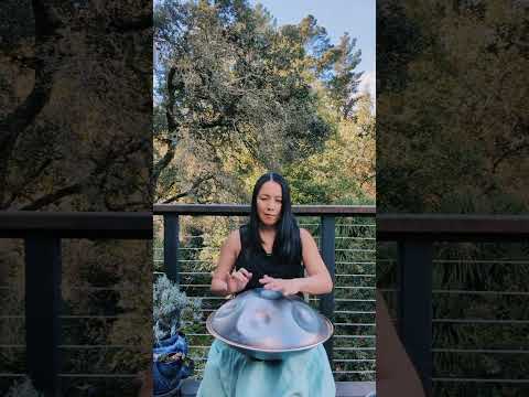 enjoying the sunshine - handpan: g minor harmonic 13 Spirit Handpans