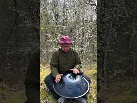 cherry blossoms / Hangpan D Kurd / nature feels good #spring #hangdrum #consciousness #healing #440