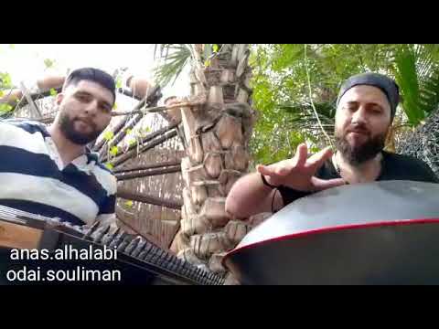 Handpan with qanoun