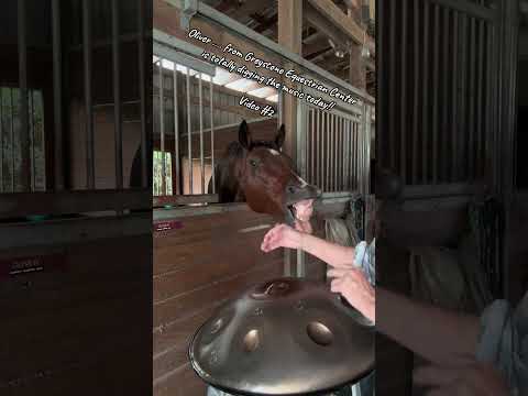 🛸🎶 💕 Greystone Equestrian Center, North Fort Myers, FL 💕 🎶🛸