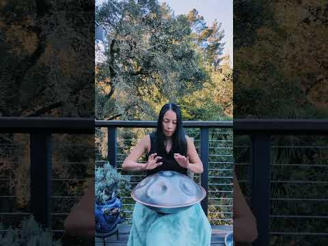 enjoying the sunshine - handpan: g minor harmonic 13 Spirit Handpans