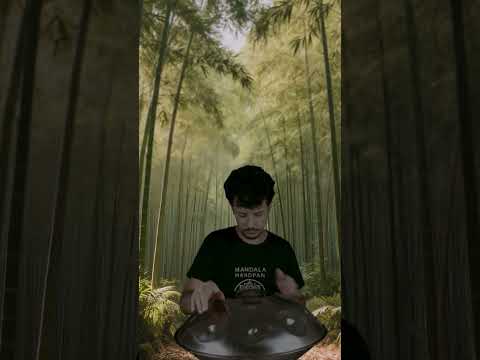 Where Handpan Meets the Bamboo Forest 🌿