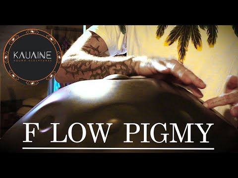 Flavio Salvaje - F Low Pigmy / Kauaine Soundsculptures