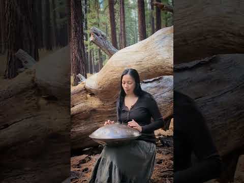 "In the Stillness of the Morning" - handpan, lake tahoe