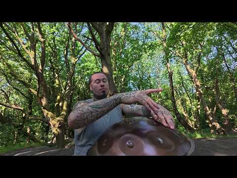 Handpan Music in the Sunlit Woods 🌿 | Peaceful Nature Sounds to Bring Happiness & Inner Calm