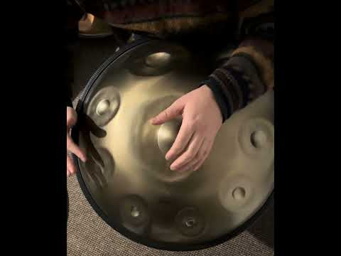 Sela Harmony Handpan D Amara 202