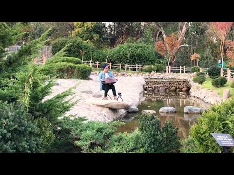Follow Your Dreams | Handpan Music | soundbath