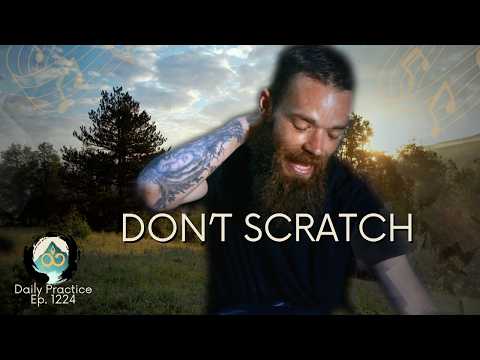 The Mosquito Bites of Life | Guided Breathwork Meditation | Ep. 1224