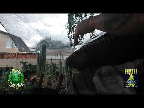 Eddie Funxta aka Entheogenic Eddie - Monsoon Thunder