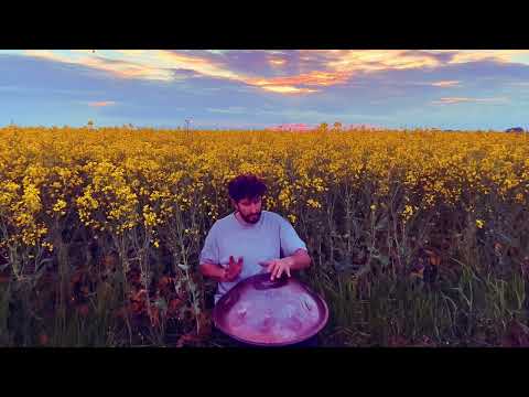 The Wind Played Along | Handpan Among Blooming Fields | Handpan music | Healing sounds