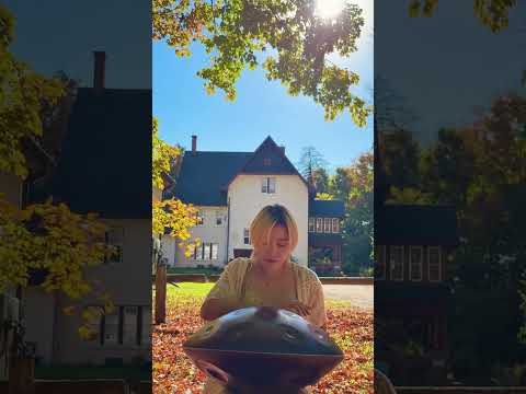 🇨🇦 Handpan | Daydreaming in Autumn 🍂- E Amara 20