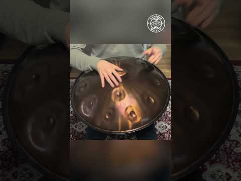 Aelo Handpan D Celtic Minor (Mutant) 11 #handpan #handpanworld
