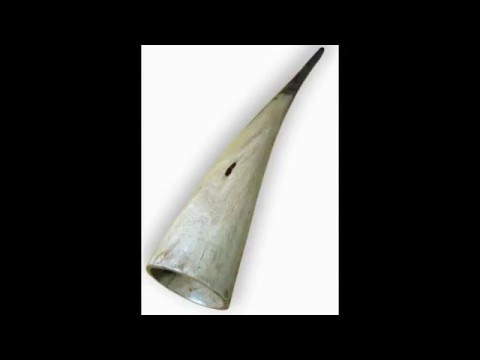 Where to buy a didgeridoo?