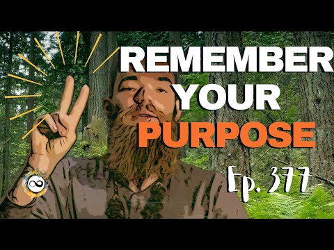 The Magic of Handpan Sound: Guided Meditation and Relaxing Breathwork | Ep. 377
