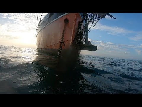 Tallship - The Anchor